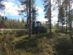 Pyörätien hakkuu