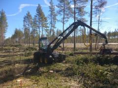 Pyörätien hakkuu